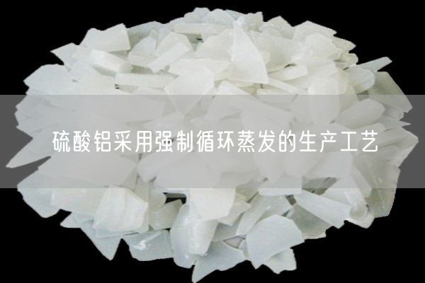 硫酸铝采用强制循环蒸发的生产工艺(图3)