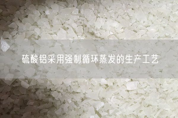 硫酸铝采用强制循环蒸发的生产工艺(图1)