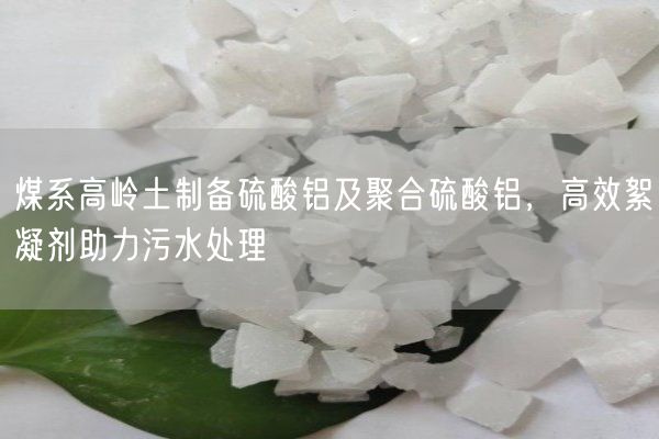 煤系高岭土制备硫酸铝及聚合硫酸铝，高效絮凝剂助力污水处理(图4)